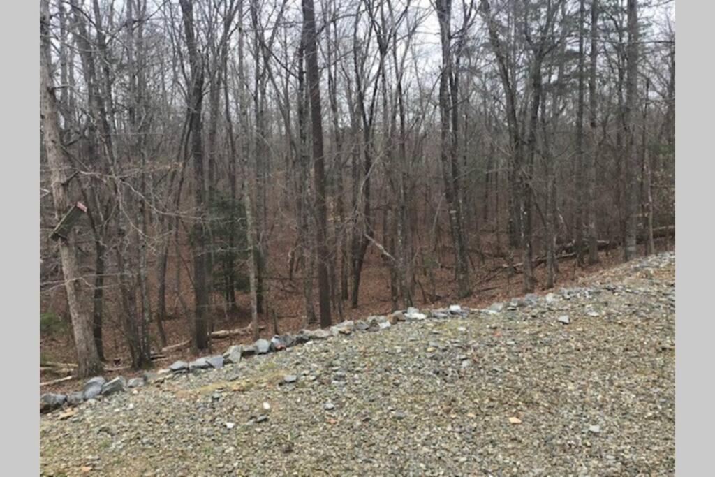 אלייז'ה Eagle Mountain River Retreat מראה חיצוני תמונה