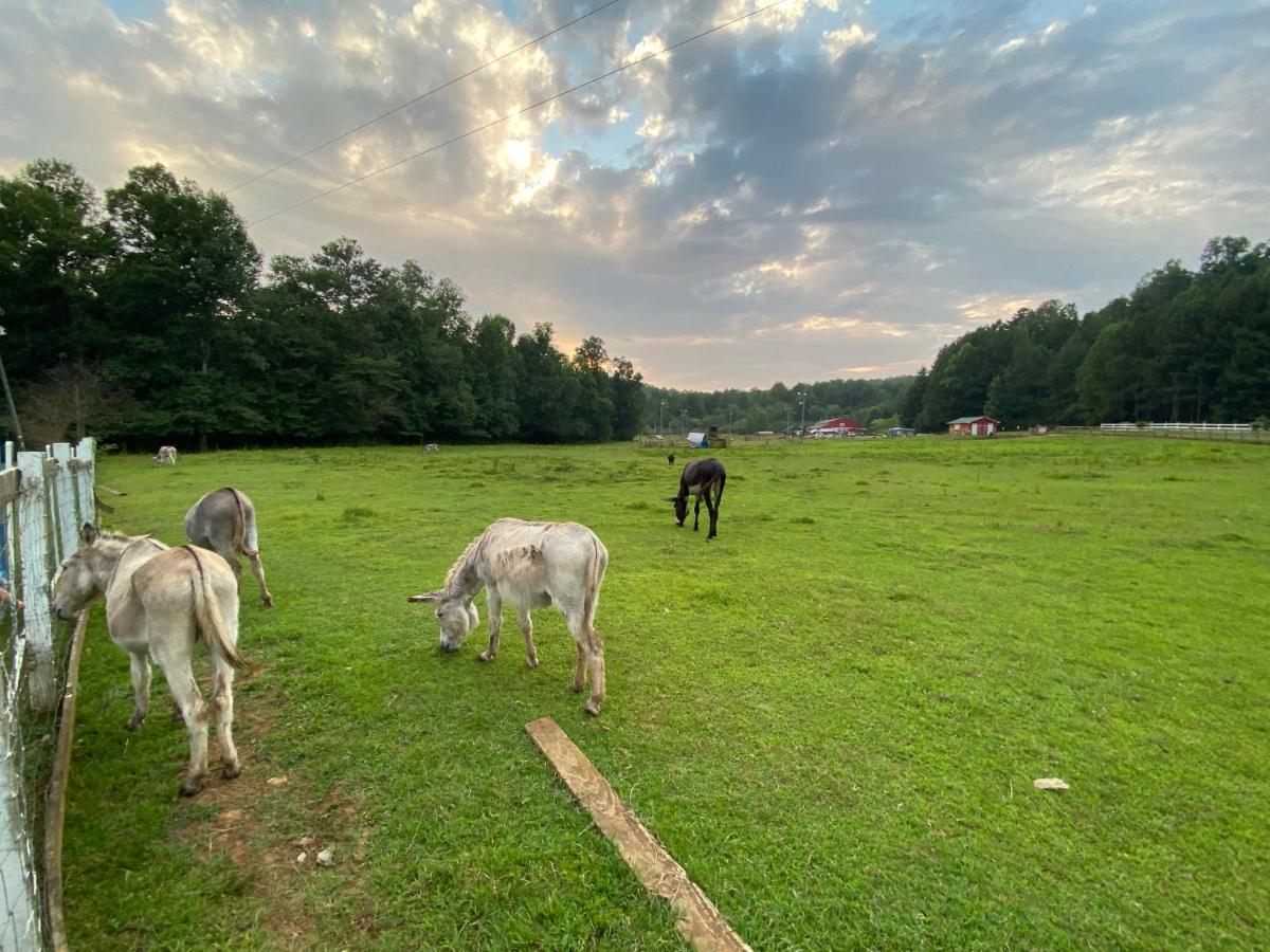 אלייז'ה Eagle Mountain River Retreat מראה חיצוני תמונה